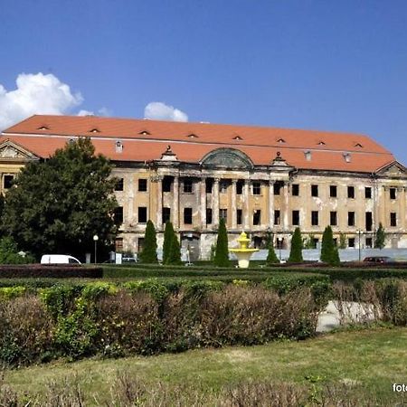 M.S. Piccolo Daire Żary Dış mekan fotoğraf