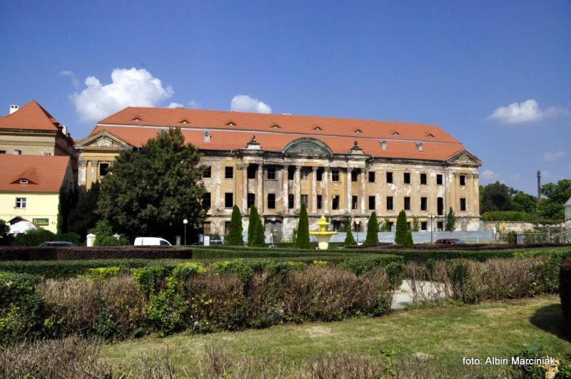 M.S. Piccolo Daire Żary Dış mekan fotoğraf